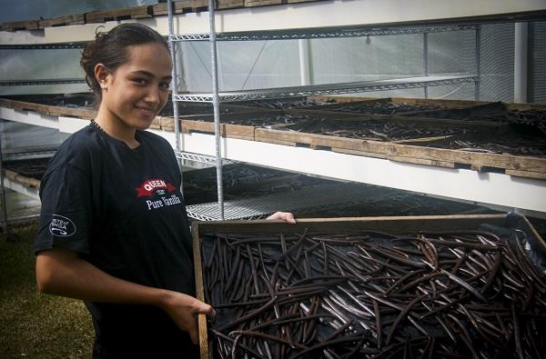 Queen Fine Foods' Tongan vanilla rehabilitation programme